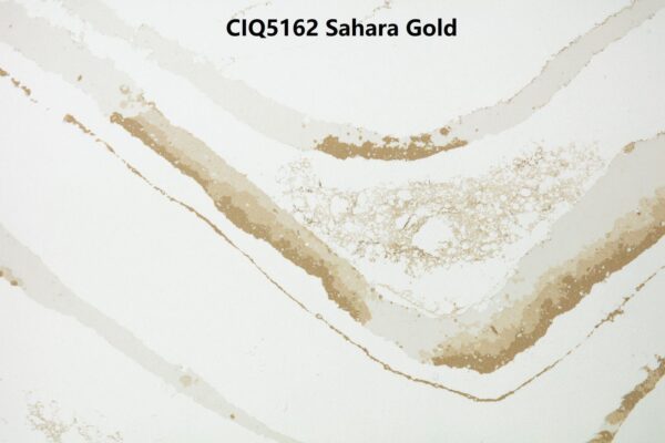 CIQ5162 Sahara Gold